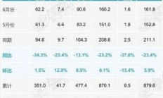 燃油车要退居二线！6月零售骤降39%：新能源车已占市场主导