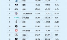 8月新能源车企战报：比亚迪继续霸榜 这哥俩有点愁