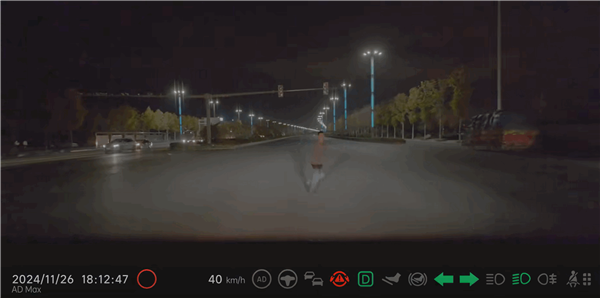 理想AEB立功!夜间自动刹车避开路人 车主甚至都没看到人在哪